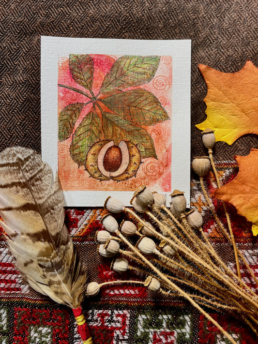 Horsechestnut Treasure - Original watercolour 8.5x10cm
